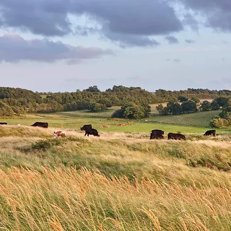 6 Person In Skals-by Traum Holiday home *